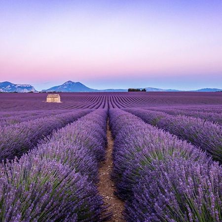 Maison Chaleureuse En Provence Piolenc Ngoại thất bức ảnh